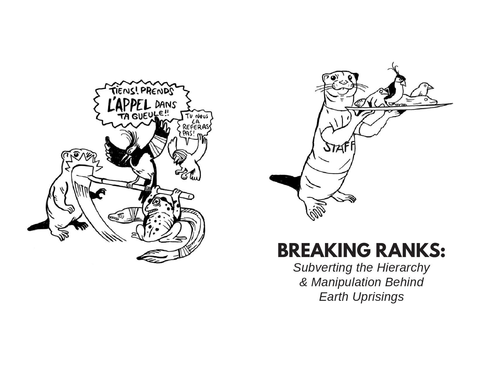 Warzone Distro : BREAKING RANKS: Subverting the Hierarchy ...
